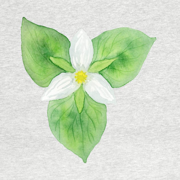 Watercolor Trillium Flower by paintedpansy